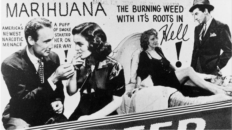 Fear of Cannabis and CBD