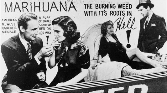 Fear of Cannabis and CBD